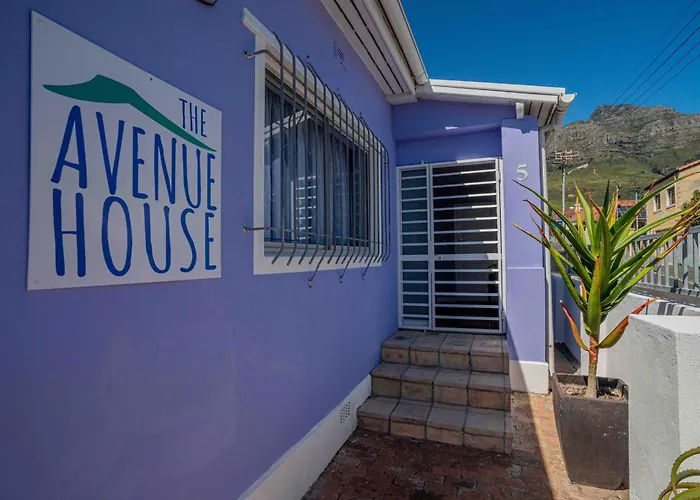 The Avenue House